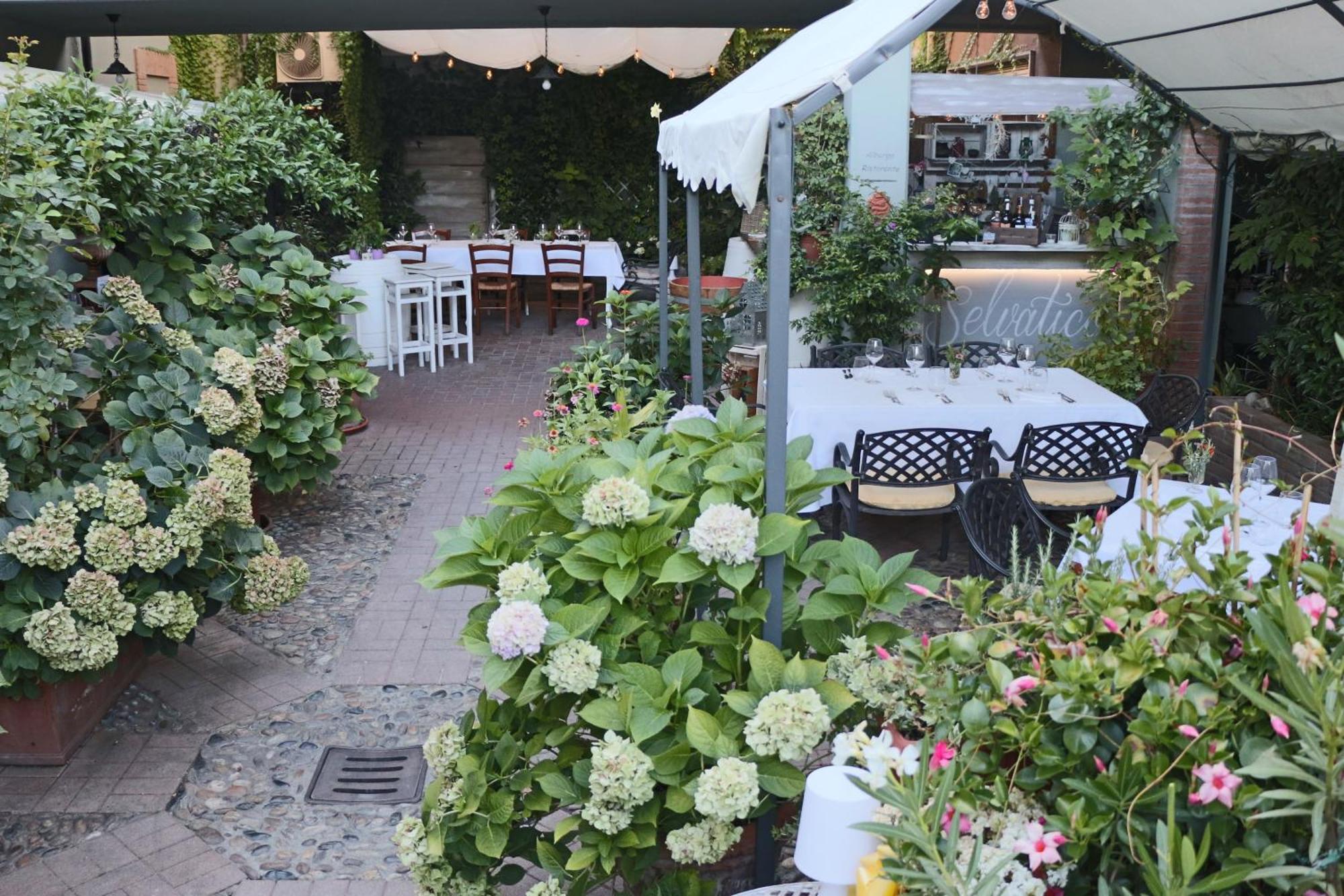 Albergo & Ristorante Selvatico Rivanazzano Terme Eksteriør billede