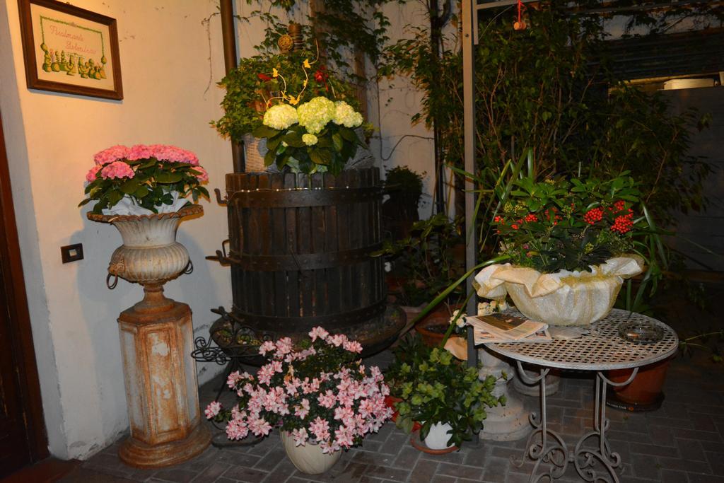 Albergo & Ristorante Selvatico Rivanazzano Terme Eksteriør billede